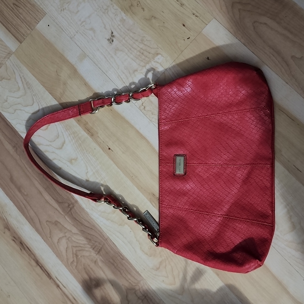 Sofia Vergara purse